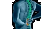 Apex Chiropractic