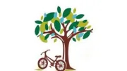 North Seattle Pediatrics