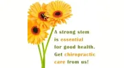 Holly Springs Chiropractic