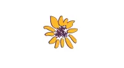 Kenwood Allergy and Asthma Center