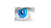 Delta Eye Medical Group