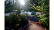 ElderHealth & Living Memory Village