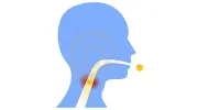 North Shore Ear Nose & Throat