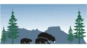 Mountain View Pediatrics