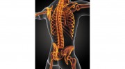 Rocky Mountain Sports Chiropractic