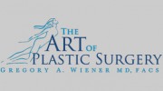 The Art of Plastic Surgery