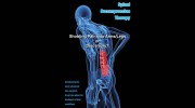 Weig Chiropractic Center