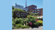 Vermont Orthopedic Clinic