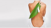 Mequon Chiropractic Office - Eric Strande